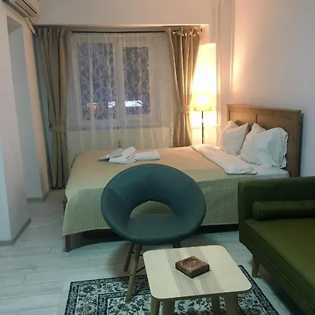 Apartment Studio Constance
